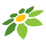 LINK STARSLOT